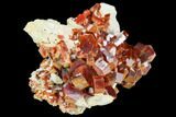 Red & Brown Vanadinite Crystal Cluster - Morocco #117728-2